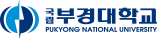 부경대